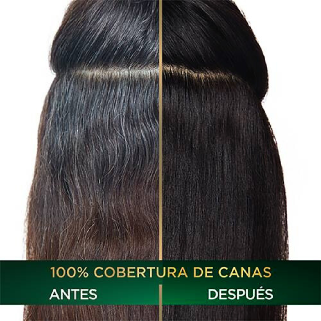 SHAMPOO NATURAL CUBRE CANAS (500 ML) Sin Amoniaco